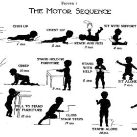 What is Gross Motor Development in Babies